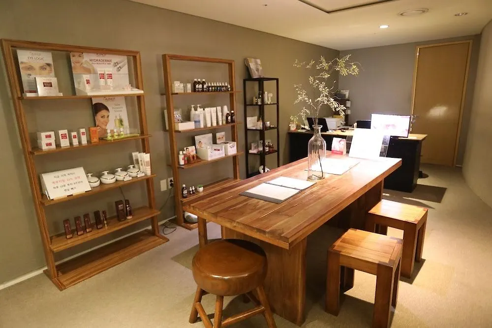 酒店 玫菲尔酒店 首爾